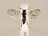  ( - ZMUO.033930)  @11 [ ] CreativeCommons - Attribution Non-Commercial (2018) Marko Mutanen University of Oulu