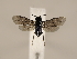  ( - ZMUO.033940)  @12 [ ] CreativeCommons - Attribution Non-Commercial (2018) Marko Mutanen University of Oulu
