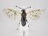  ( - ZMUO.034135)  @12 [ ] CreativeCommons - Attribution Non-Commercial (2019) Marko Mutanen University of Oulu