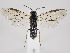  ( - ZMUO.034251)  @12 [ ] CreativeCommons - Attribution Non-Commercial (2019) Marko Mutanen University of Oulu