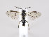  ( - ZMUO.034252)  @12 [ ] CreativeCommons - Attribution Non-Commercial (2019) Marko Mutanen University of Oulu