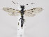  ( - ZMUO.034258)  @12 [ ] CreativeCommons - Attribution Non-Commercial (2019) Marko Mutanen University of Oulu