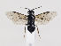  ( - ZMUO.034345)  @13 [ ] CreativeCommons - Attribution Non-Commercial (2019) Marko Mutanen University of Oulu
