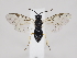  ( - ZMUO.034429.1)  @11 [ ] by-nc (2022) Marko Mutanen University of Oulu