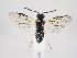  ( - ZMUO.034569)  @13 [ ] CreativeCommons - Attribution Non-Commercial (2019) Marko Mutanen University of Oulu