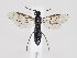  ( - ZMUO.034575)  @12 [ ] CreativeCommons - Attribution Non-Commercial (2019) Marko Mutanen University of Oulu
