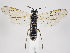  ( - ZMUO.034581)  @13 [ ] CreativeCommons - Attribution Non-Commercial (2019) Marko Mutanen University of Oulu