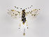  ( - ZMUO.034856)  @12 [ ] CreativeCommons - Attribution Non-Commercial (2019) Marko Mutanen University of Oulu