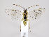  ( - ZMUO.034915)  @13 [ ] CreativeCommons - Attribution Non-Commercial (2019) Marko Mutanen University of Oulu