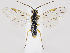  ( - ZMUO.035606)  @13 [ ] CreativeCommons - Attribution Non-Commercial (2019) Marko Mutanen University of Oulu