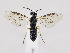  ( - ZMUO.035615)  @11 [ ] CreativeCommons - Attribution Non-Commercial (2019) Marko Mutanen University of Oulu
