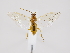  ( - ZMUO.035645.1)  @11 [ ] by-nc (2022) Marko Mutanen University of Oulu