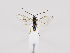  ( - ZMUO.035730)  @11 [ ] CreativeCommons - Attribution Non-Commercial (2019) Marko Mutanen University of Oulu