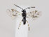  ( - ZMUO.035892)  @13 [ ] CreativeCommons - Attribution Non-Commercial (2019) Marko Mutanen University of Oulu