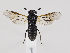  ( - ZMUO.035974)  @11 [ ] CreativeCommons - Attribution Non-Commercial (2019) Marko Mutanen University of Oulu
