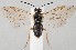  ( - ZMUO.045411.1)  @11 [ ] by-nc (2022) Marko Mutanen University of Oulu