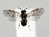  ( - ZMUO.058411)  @11 [ ] by-nc (2022) Marko Mutanen University of Oulu