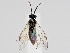  ( - ZMUO.058441)  @11 [ ] by-nc (2022) Marko Mutanen University of Oulu