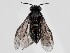 ( - ZMUO.058482)  @11 [ ] by-nc (2022) Marko Mutanen University of Oulu