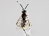  ( - ZMUO.058537)  @11 [ ] by-nc (2022) Marko Mutanen University of Oulu