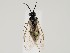  ( - ZMUO.058916)  @11 [ ] by-nc (2022) Marko Mutanen University of Oulu