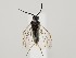  ( - ZMUO.059166)  @11 [ ] by-nc (2022) Marko Mutanen University of Oulu