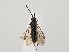  ( - ZMUO.059228)  @13 [ ] by-nc (2022) Marko Mutanen University of Oulu