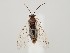  ( - ZMUO.059261)  @11 [ ] by-nc (2022) Marko Mutanen University of Oulu
