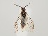  ( - ZMUO.059301)  @11 [ ] by-nc (2022) Marko Mutanen University of Oulu