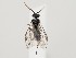  ( - ZMUO.059319)  @11 [ ] by-nc (2022) Marko Mutanen University of Oulu