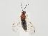  ( - ZMUO.059494)  @11 [ ] by-nc (2022) Marko Mutanen University of Oulu