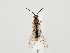  ( - ZMUO.059495)  @11 [ ] by-nc (2022) Marko Mutanen University of Oulu