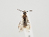  ( - ZMUO.059498)  @11 [ ] by-nc (2022) Marko Mutanen University of Oulu