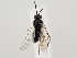  ( - ZMUO.059967)  @11 [ ] by-nc (2022) Marko Mutanen University of Oulu