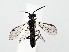  ( - ZMUO.061254)  @14 [ ] by-nc (2022) Marko Mutanen University of Oulu