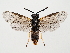  ( - ZMUO.064280)  @11 [ ] by-nc (2022) Marko Mutanen University of Oulu