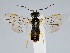  ( - ZMUO.062377)  @11 [ ] by-nc (2022) Marko Mutanen University of Oulu
