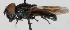  ( - KWi-325)  @12 [ ] CreativeCommons - Attribution Non-Commercial (2012) Marko Mutanen University of Oulu