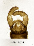  ( - AKO-T0004)  @11 [ ] CreativeCommons - Attribution Share-Alike (2025) Unspecified University of Oulu
