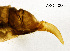 ( - AKO-T0005)  @11 [ ] CreativeCommons - Attribution Share-Alike (2025) Unspecified University of Oulu