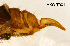  ( - AKO-T0011)  @11 [ ] CreativeCommons - Attribution Share-Alike (2025) Ari Kakko University of Oulu