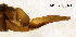  ( - AKO-T0049)  @11 [ ] CreativeCommons - Attribution Share-Alike (2025) Ari Kakko University of Oulu