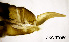  ( - AKO-T0059)  @11 [ ] CreativeCommons - Attribution Share-Alike (2025) Ari Kakko University of Oulu