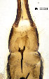  ( - EVI-000094)  @11 [ ] CreativeCommons - Attribution Share-Alike (2025) Esko Viitanen University of Oulu