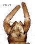  ( - EVI-000111)  @11 [ ] CreativeCommons - Attribution Non-Commercial Share-Alike (2025) Esko Viitanen University of Oulu