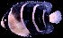  ( - FJMI3659)  @13 [ ] Unspecified (default): All Rights Reserved  Jose Angel Cohuo Unspecified