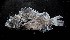  ( - FJMI3666)  @12 [ ] Unspecified (default): All Rights Reserved  Jose Angel Cohuo Unspecified