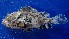  ( - FJMI3684)  @12 [ ] Unspecified (default): All Rights Reserved  Jose Angel Cohuo Unspecified