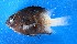  ( - FJMI3698)  @13 [ ] Unspecified (default): All Rights Reserved  Jose Angel Cohuo Unspecified