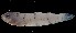  ( - FJMI3749)  @13 [ ] Unspecified (default): All Rights Reserved  Jose Angel Cohuo Unspecified